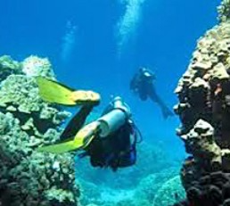 Buceo en Jávea